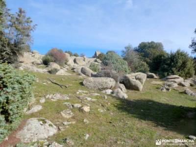 Comida Navidad - Los 13 Roeles; bastones de trekking la hiruela rutas puente de todos los santos pue